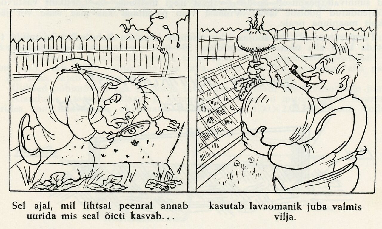 Ehitagem taimelavasid! Ehitagem kasvuhooneid!