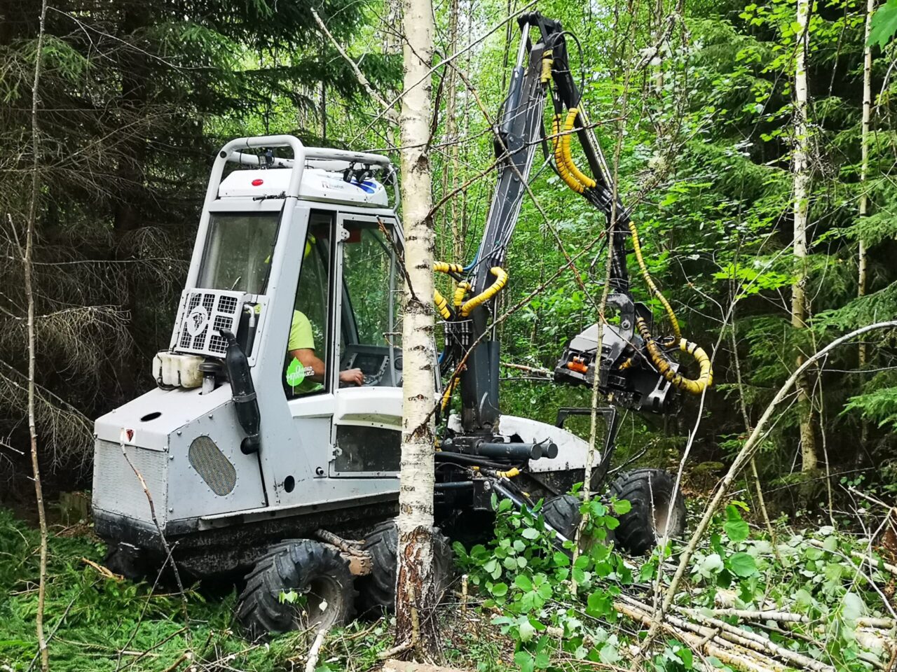 Usewood ehk kliendipõhine innovatsioon Eesti moodi