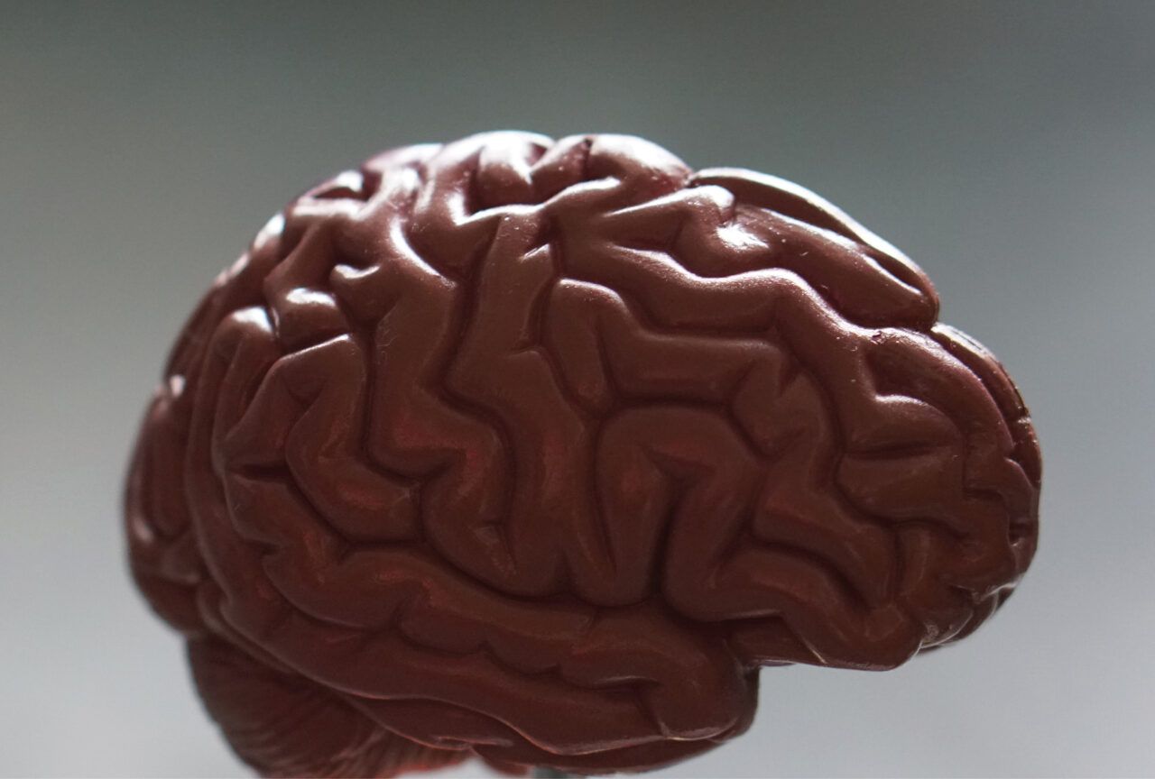 Neuroturunduse head ja vead – teine osa. Meie aju räägib asjust, mida me isegi ei tea!