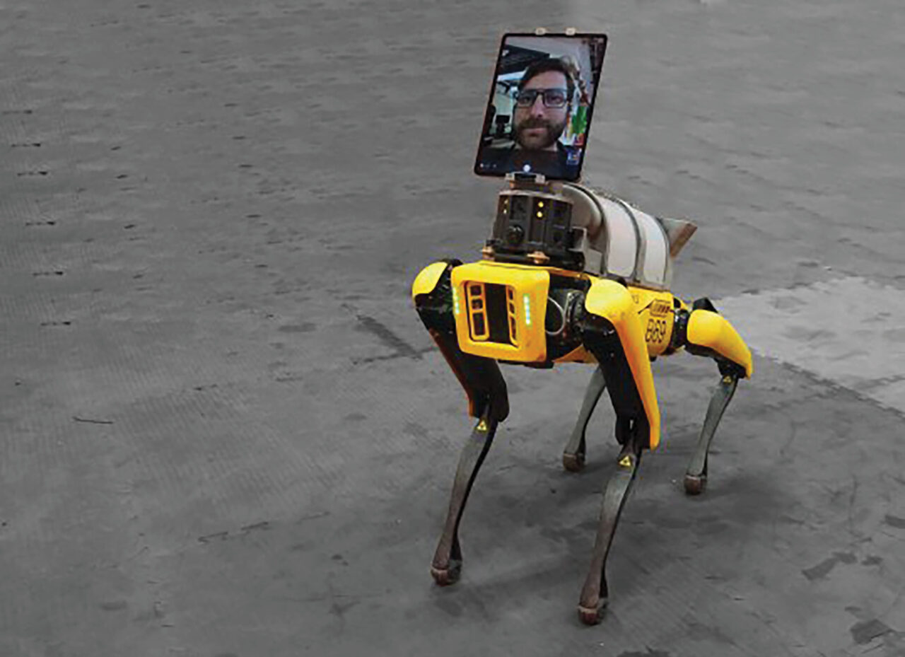 Robotkoer, mis ei hammusta